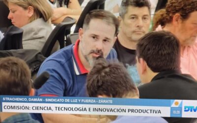 Audiencia en el Congreso en defensa del carácter estatal de la energía nuclear